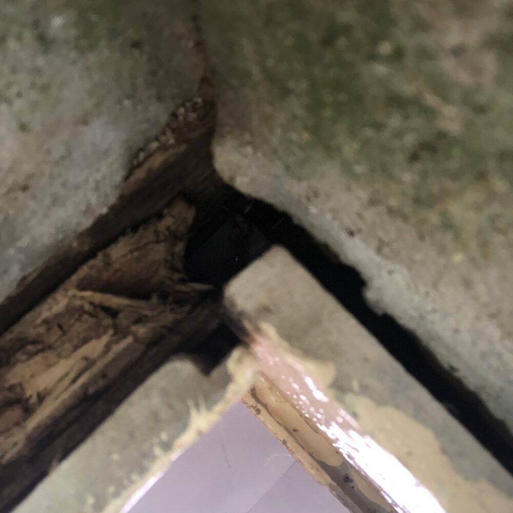 佐賀県基山町　ネズミによる被害　Y様邸　駆除実績