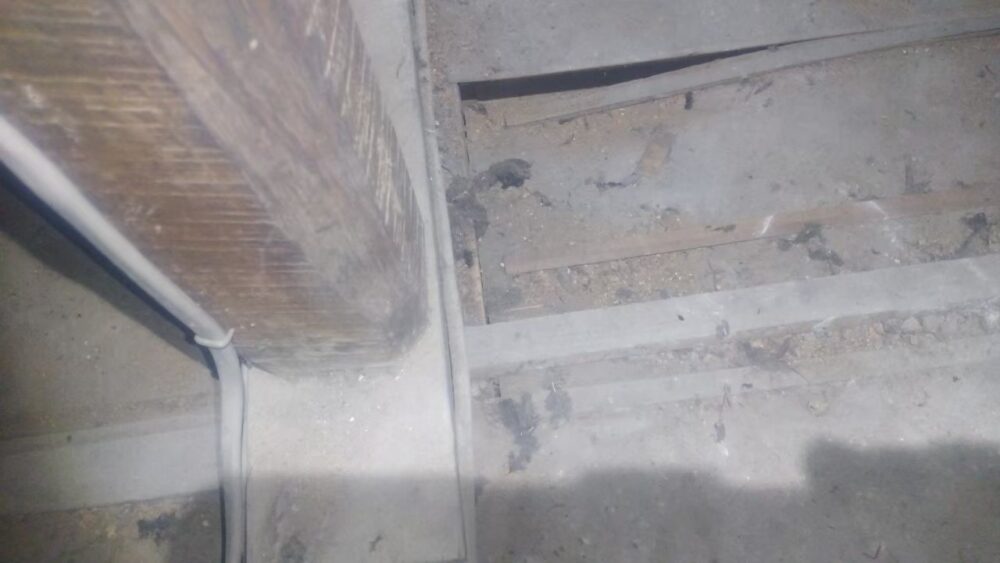 福岡県久留米市　イタチによる被害　T様邸　駆除実績