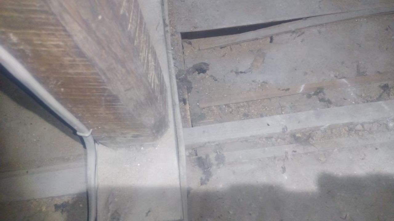 福岡県久留米市　イタチによる被害　T様邸　駆除実績