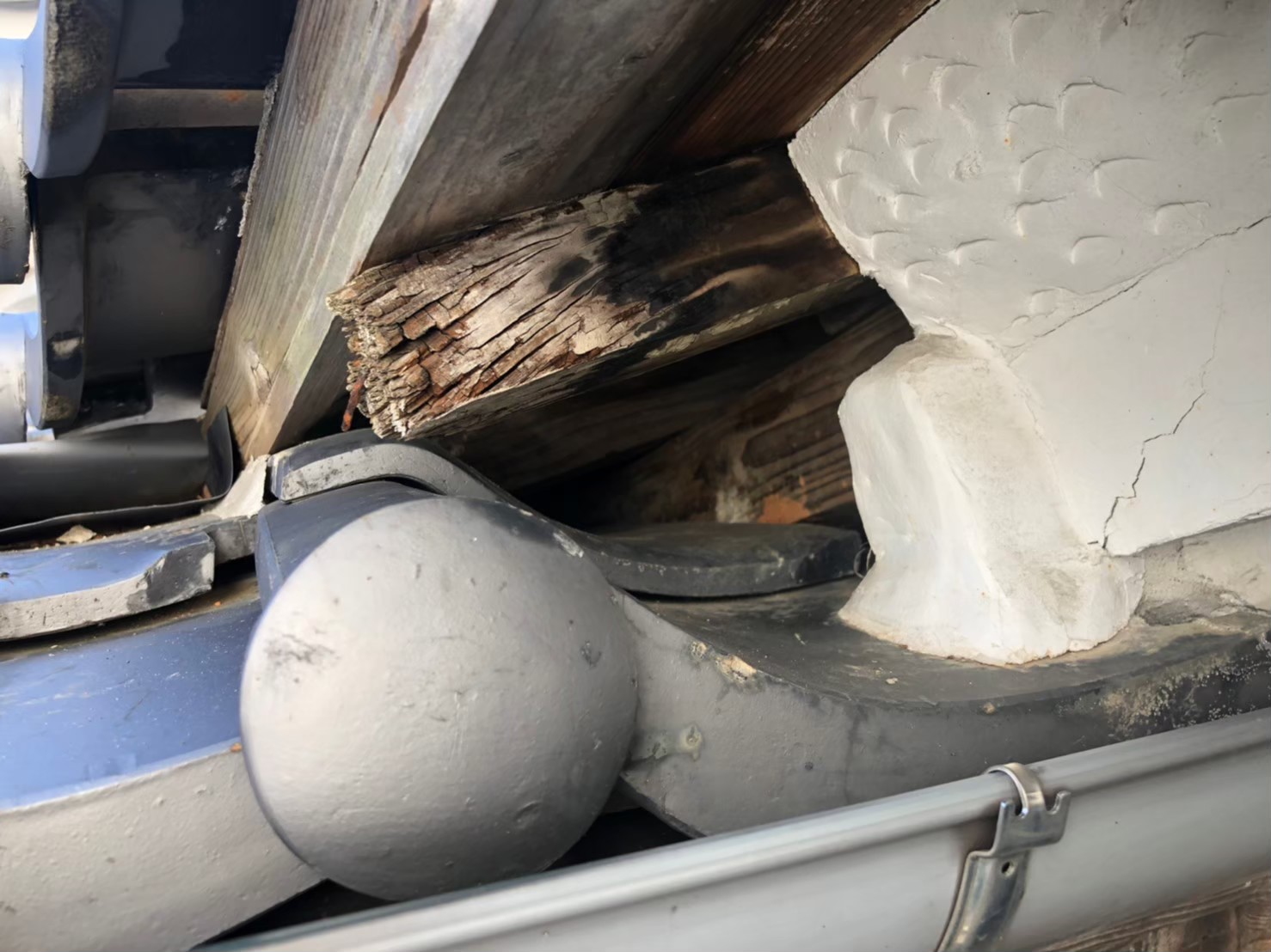 佐賀県有田町　アライグマによる被害　K様邸　駆除実績