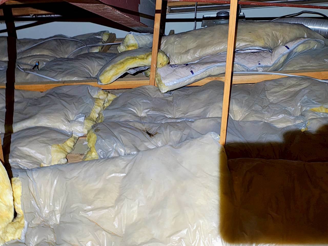 福岡県飯塚市　イタチによる被害　W様邸　駆除実績