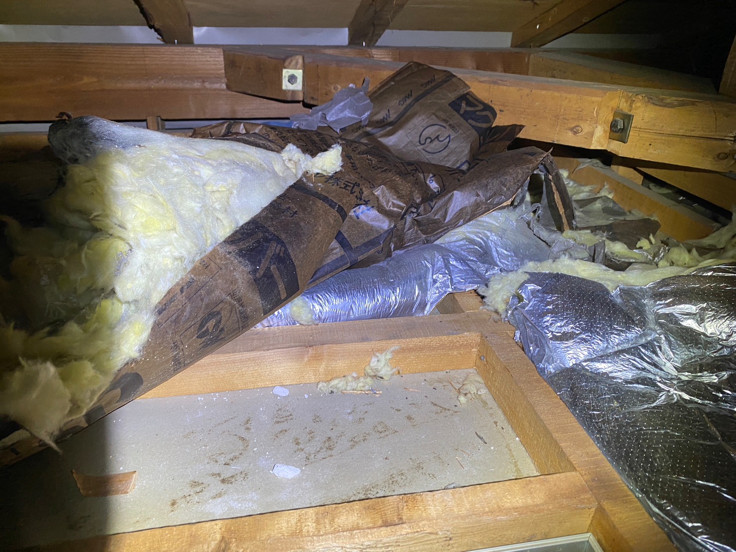 福岡県北九州市　イタチによる被害　M様邸　駆除実績