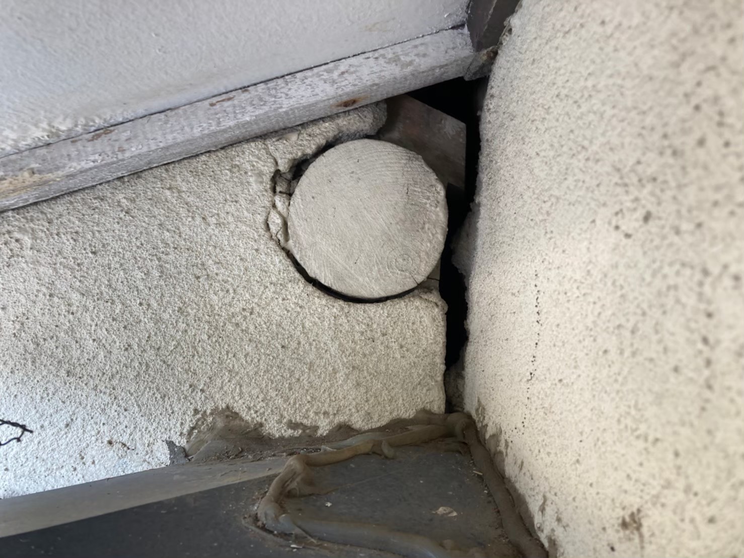 ネズミによる被害　A様邸　駆除実績