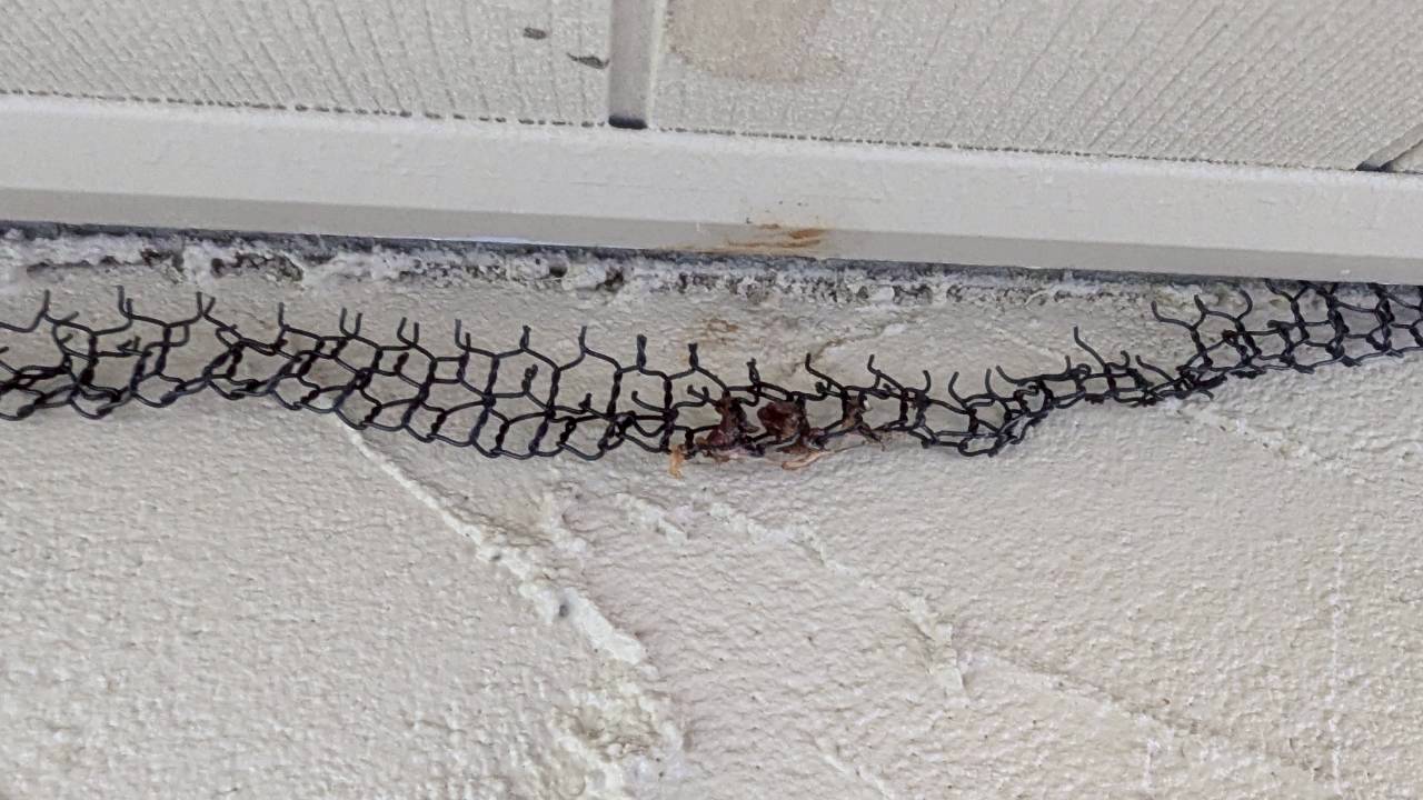 コウモリによる被害　N様邸　駆除実績