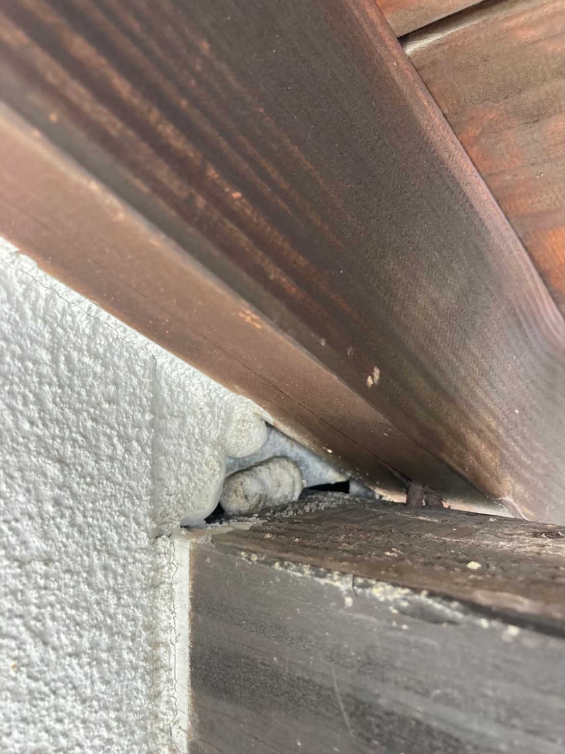 コウモリによる被害　K様邸　駆除実績