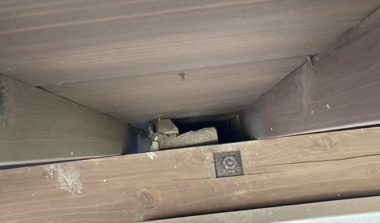 イタチによる被害　N様邸　駆除実績