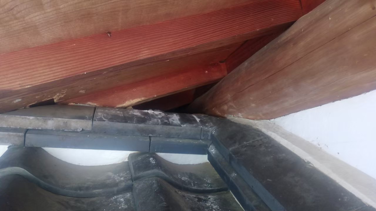 アライグマによる被害　Y様邸　駆除実績