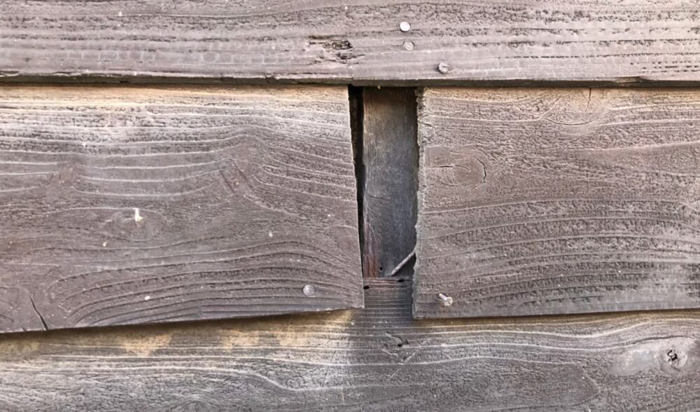 イタチによる被害　H様邸　駆除実績