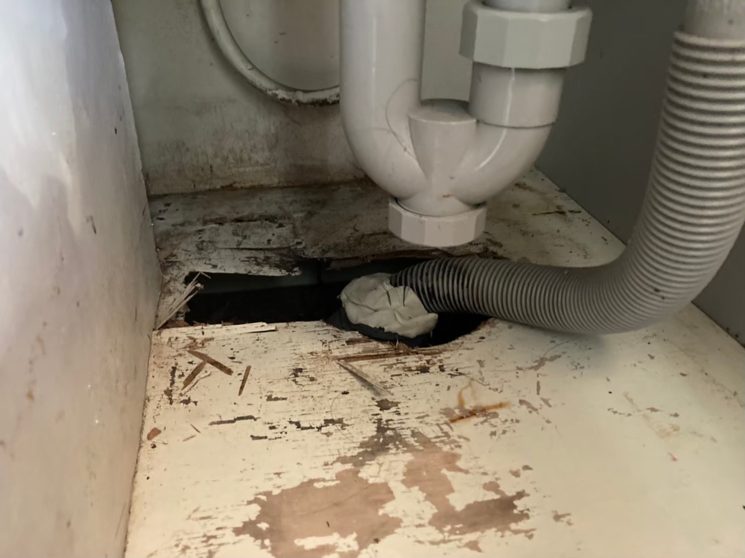 ネズミによる被害　K様邸　駆除実績