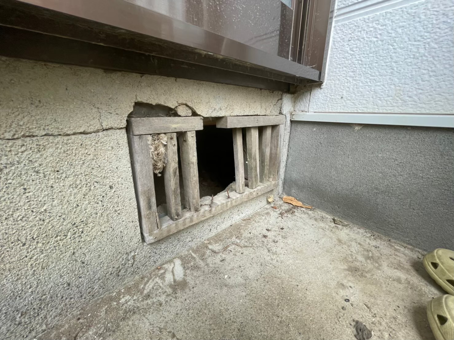 ネズミによる被害　G様邸　駆除実績