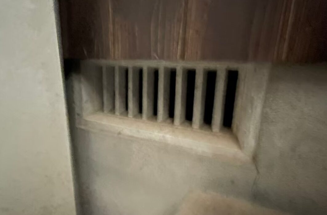 ネズミ・イタチによる被害　T様邸　駆除実績