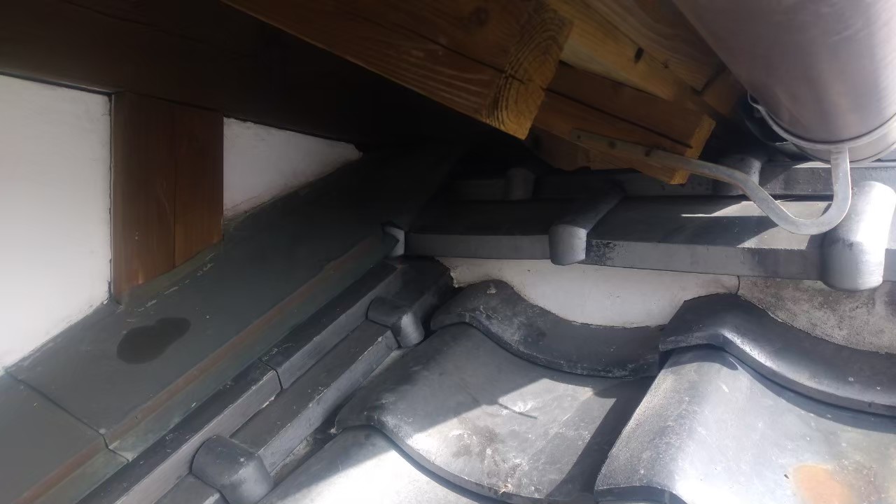 アライグマによる被害　Y様邸　駆除実績