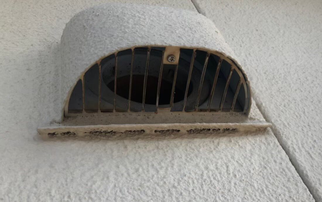 イタチによる被害　A様邸　駆除実績