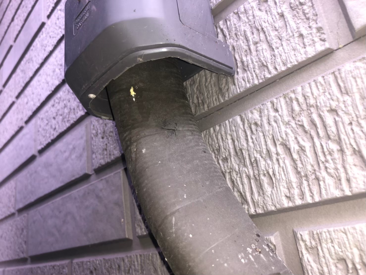 ネズミ・アライグマによる被害　S様邸　駆除実績