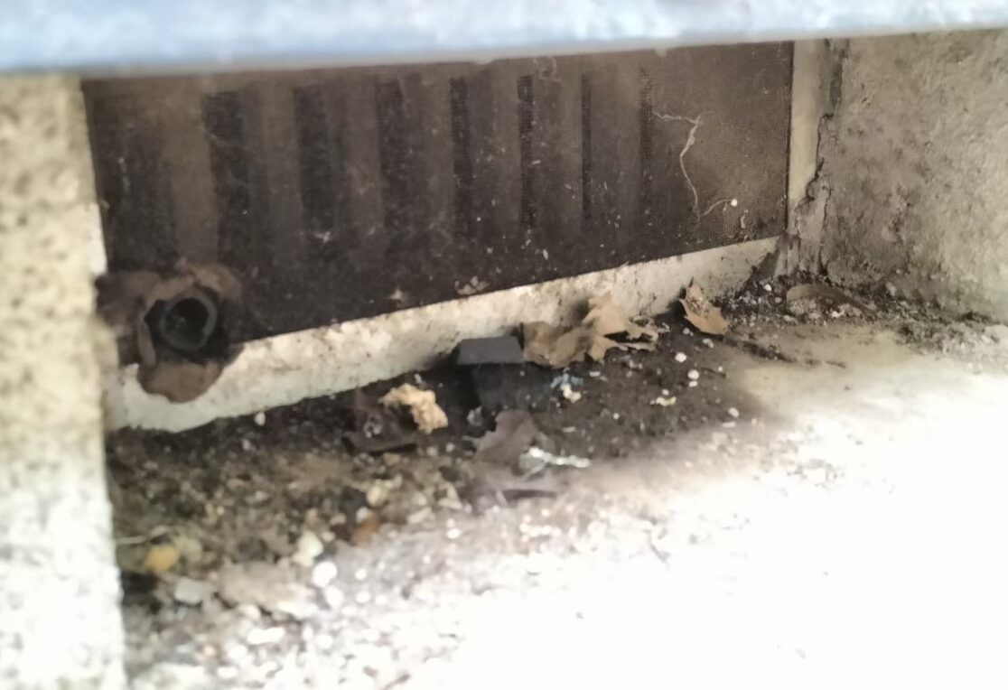 ネズミによる被害　S様邸　駆除実績