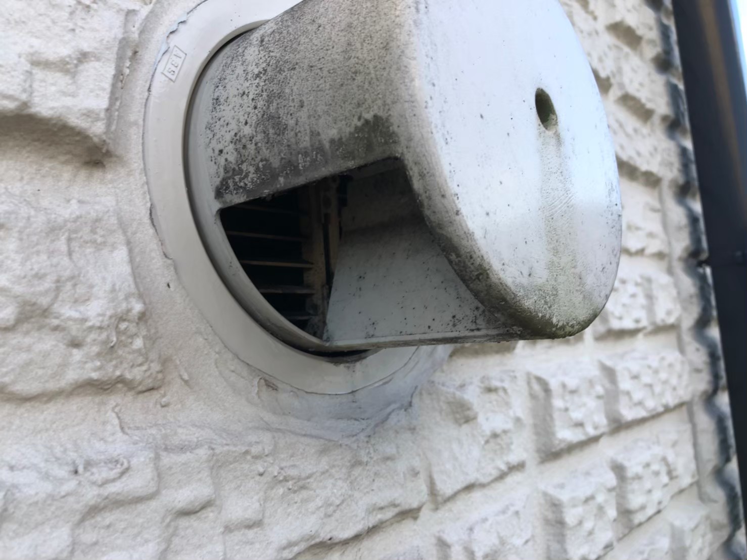 ネズミによる被害　S様邸　駆除実績