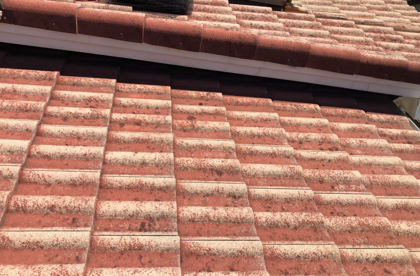 佐賀県佐賀市　イタチによる被害　H様邸　駆除実績