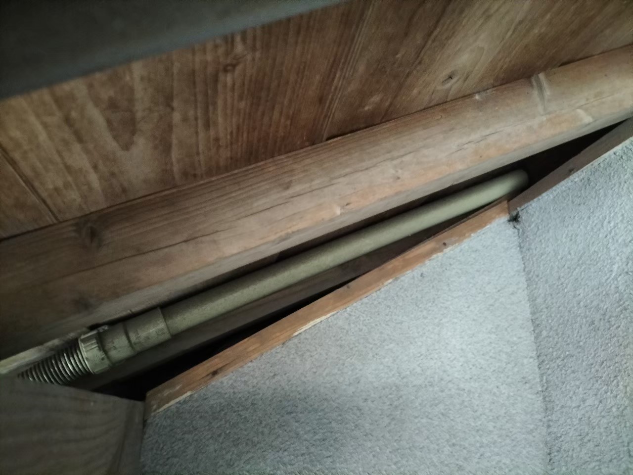 佐賀県神埼市　ネズミによる被害　H様邸　駆除実績