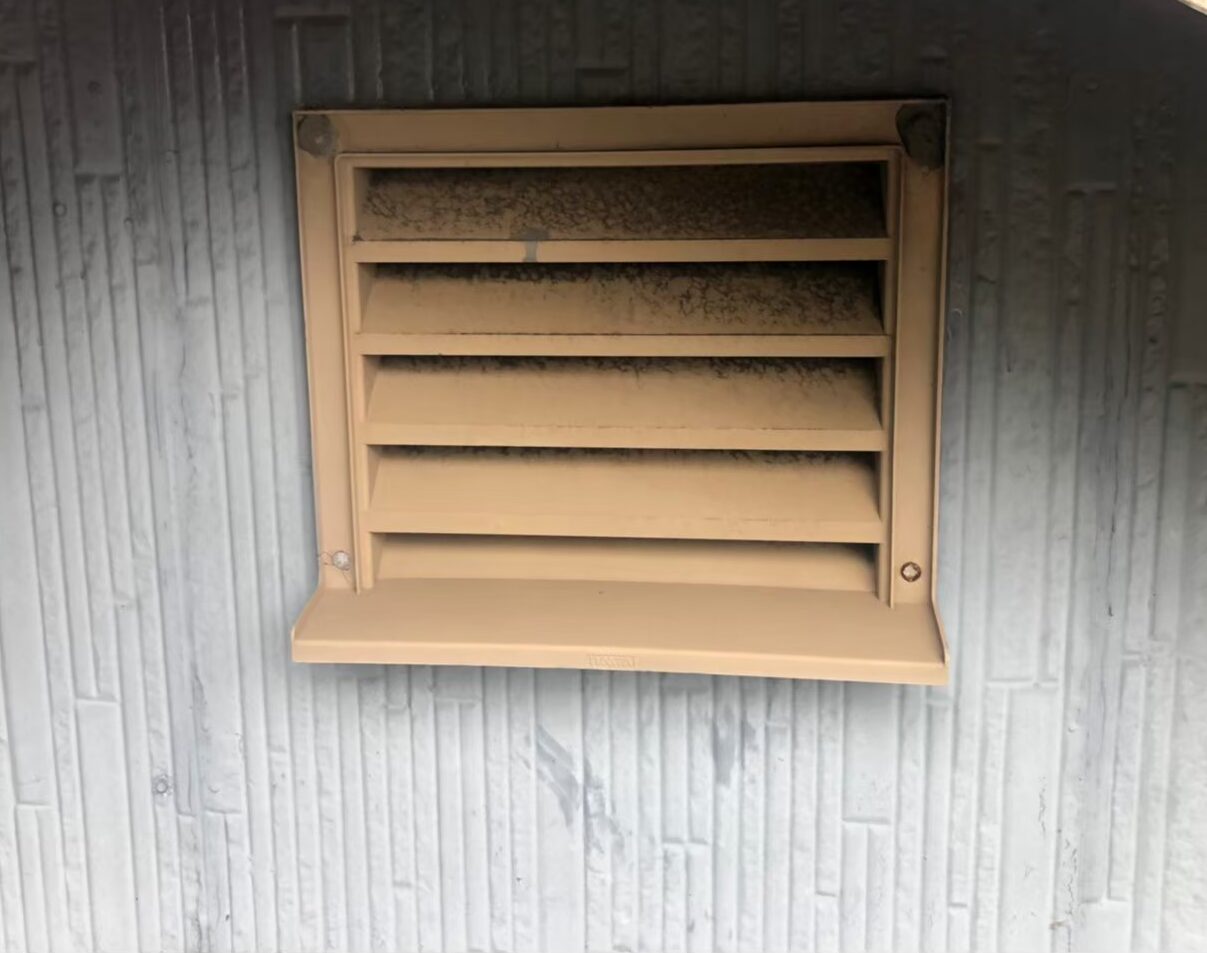 福岡県田川市　アライグマによる被害　M様邸　駆除実績