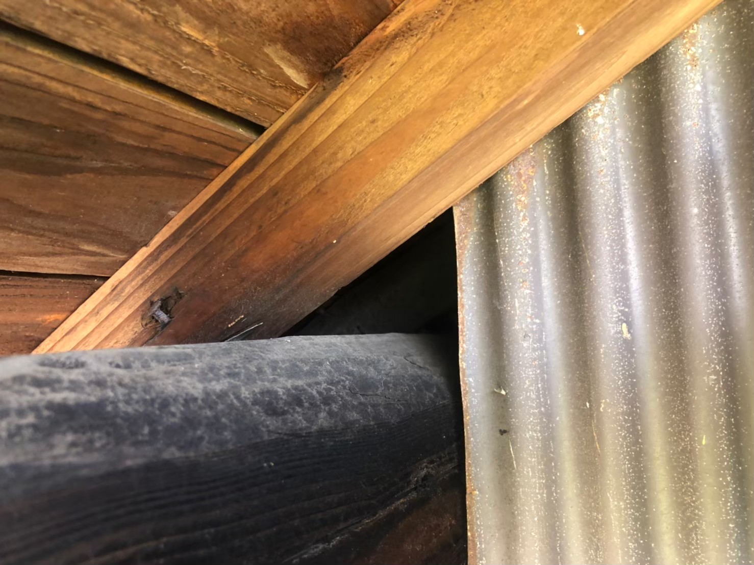 佐賀県小城市　イタチによる被害　A様邸　駆除実績