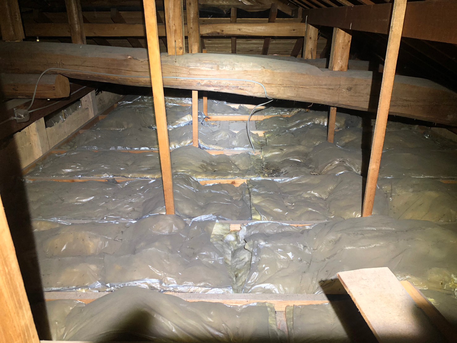 佐賀県神埼市　アライグマによる被害　G様邸　駆除実績