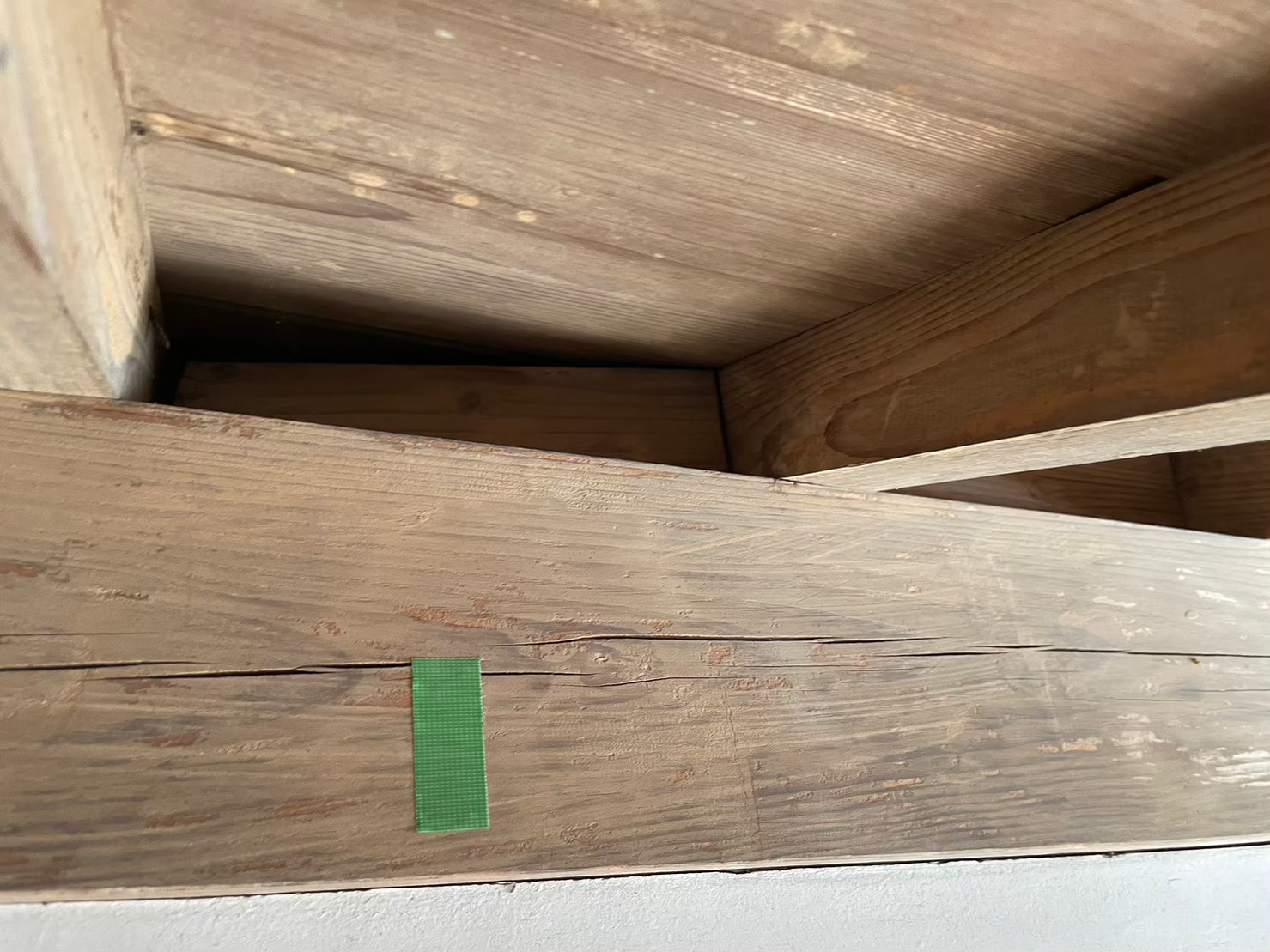 佐賀県基山町　アライグマによる被害　S様邸　駆除実績