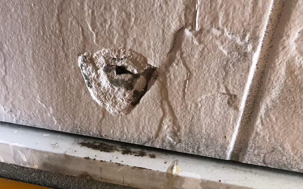 佐賀県小城市　ネズミによる被害　K様邸　駆除実績