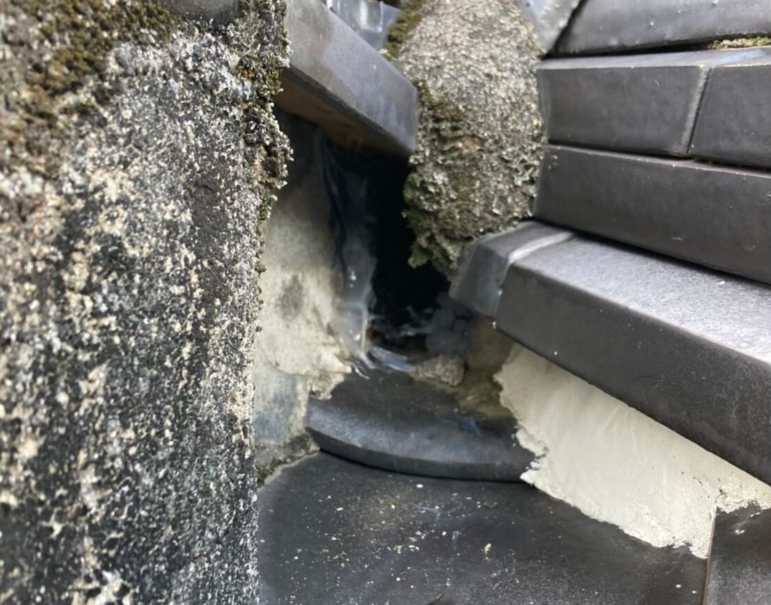 ネズミによる被害　M様邸　駆除実績