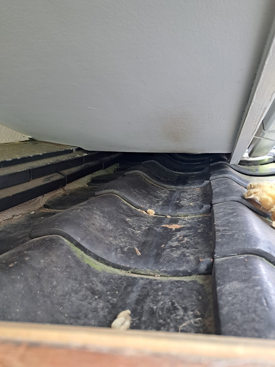 福岡県飯塚市　イタチによる被害　F様邸　駆除実績