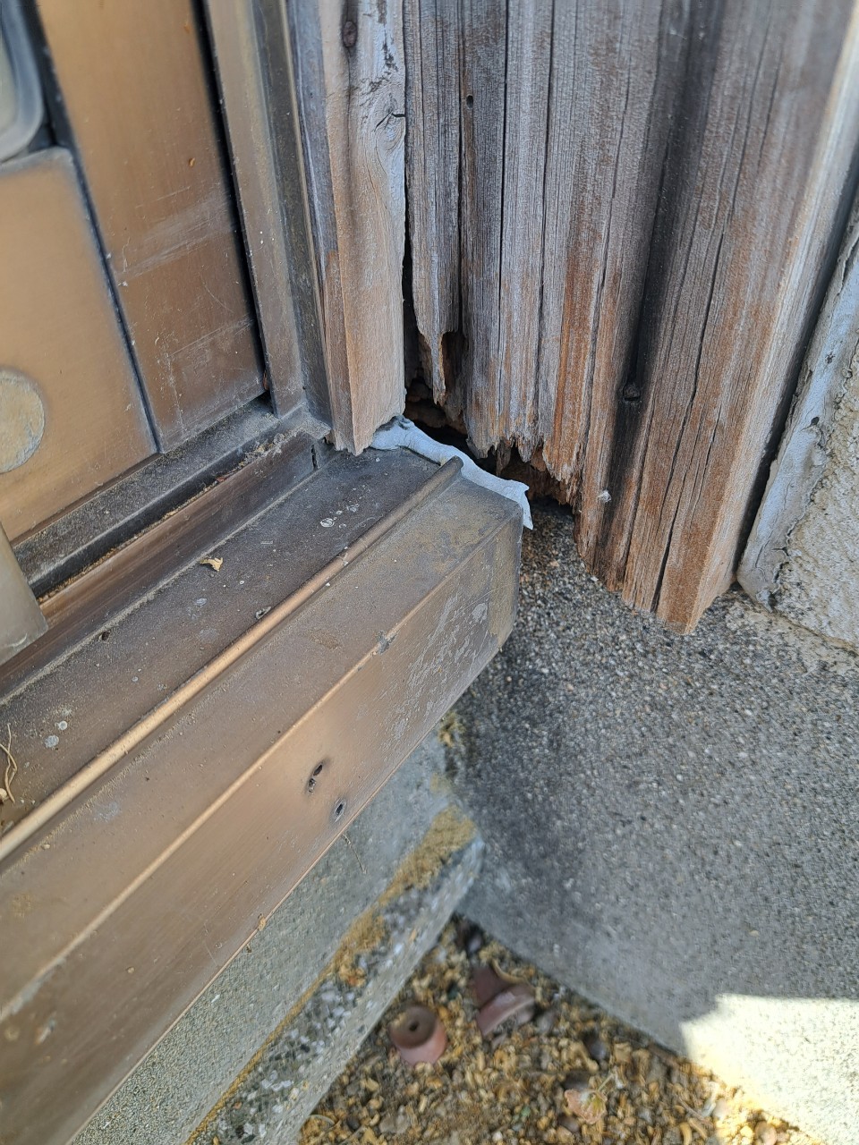 佐賀県佐賀市　アライグマによる被害　T様邸　駆除実績