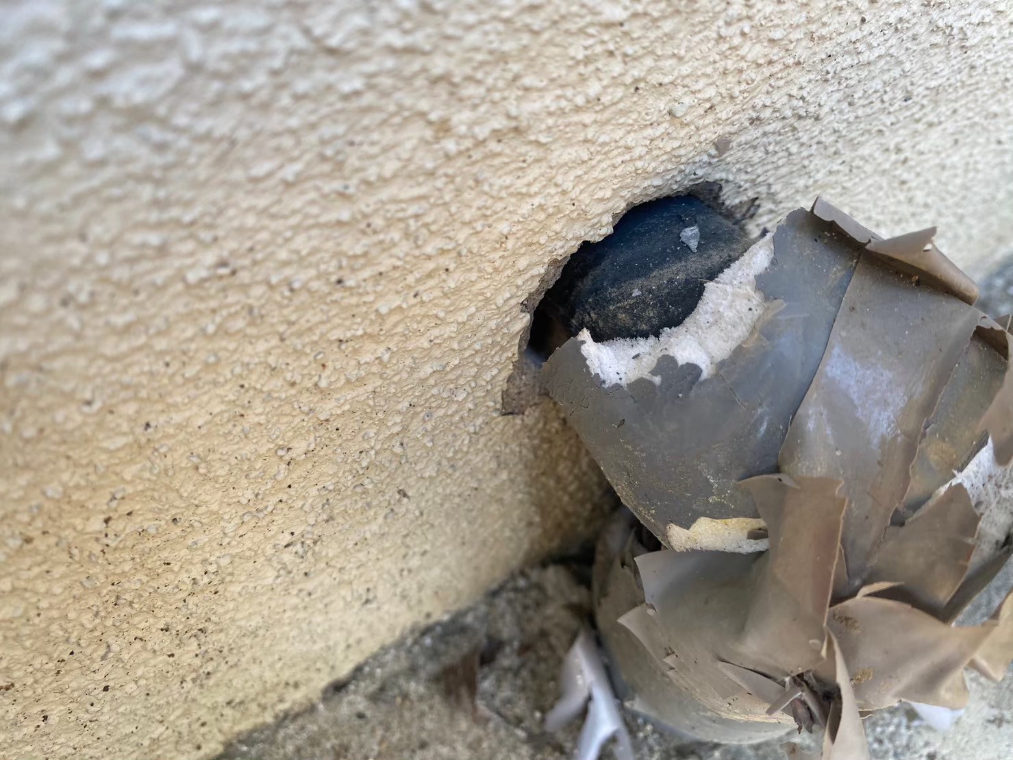 福岡県飯塚市　イタチによる被害　S様邸　駆除実績