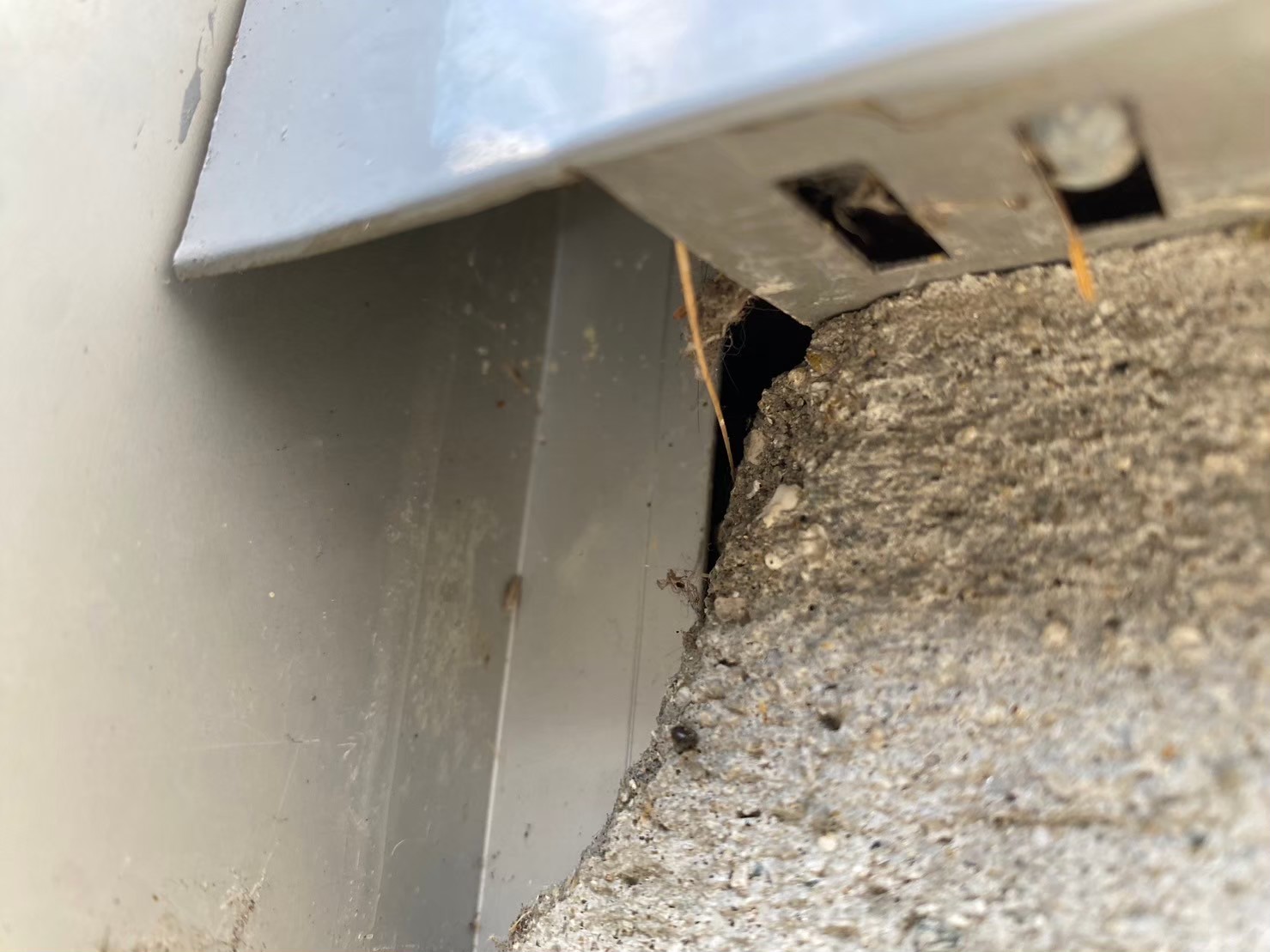 福岡県筑紫野市　ネズミによる被害　T様邸　駆除実績