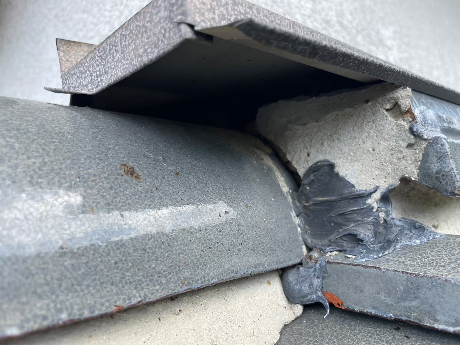 福岡県北九州市　アライグマによる被害　E様邸　駆除実績