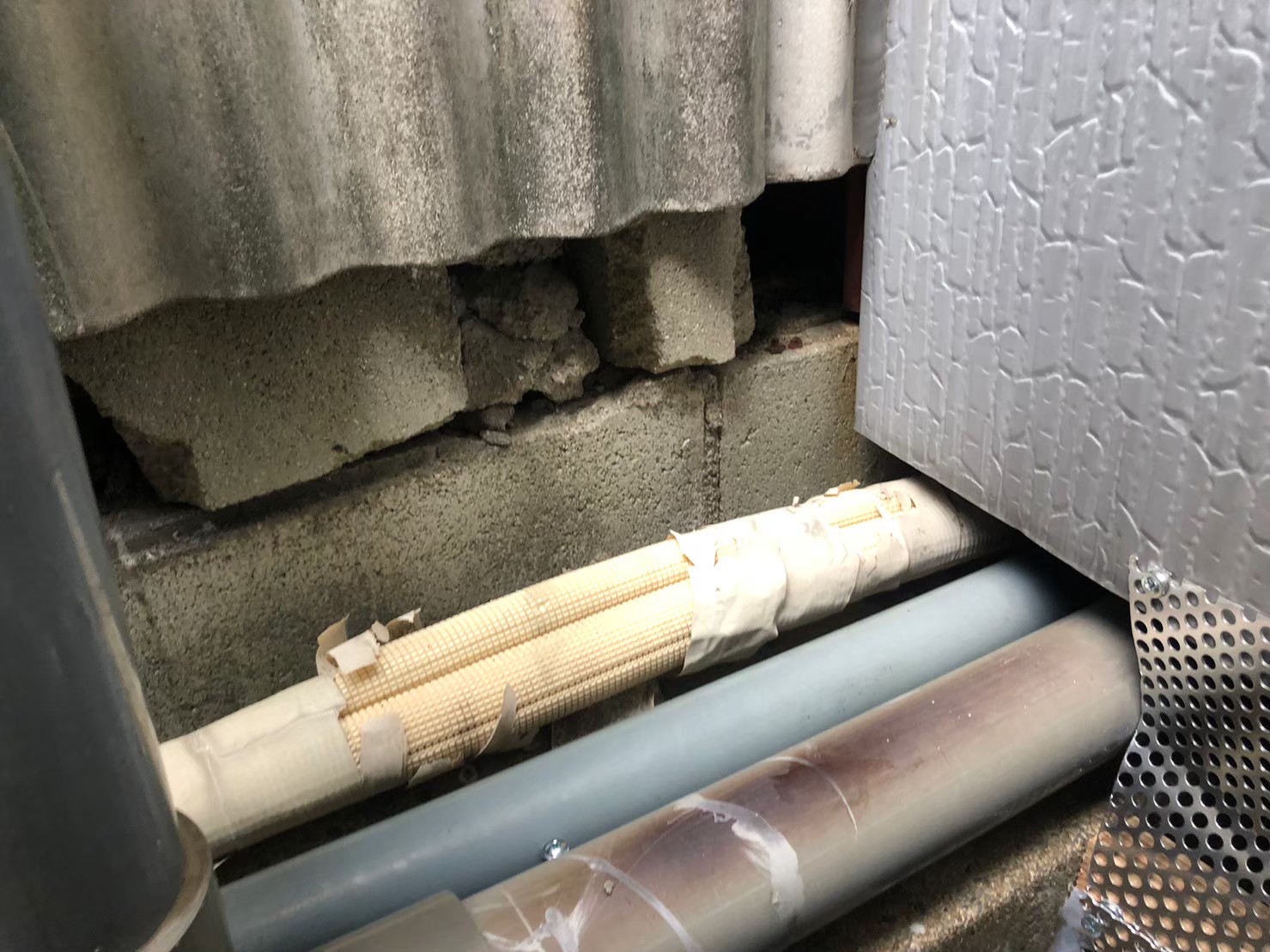 佐賀県多久市　株式会社Z Y様　イタチによる被害　駆除実績