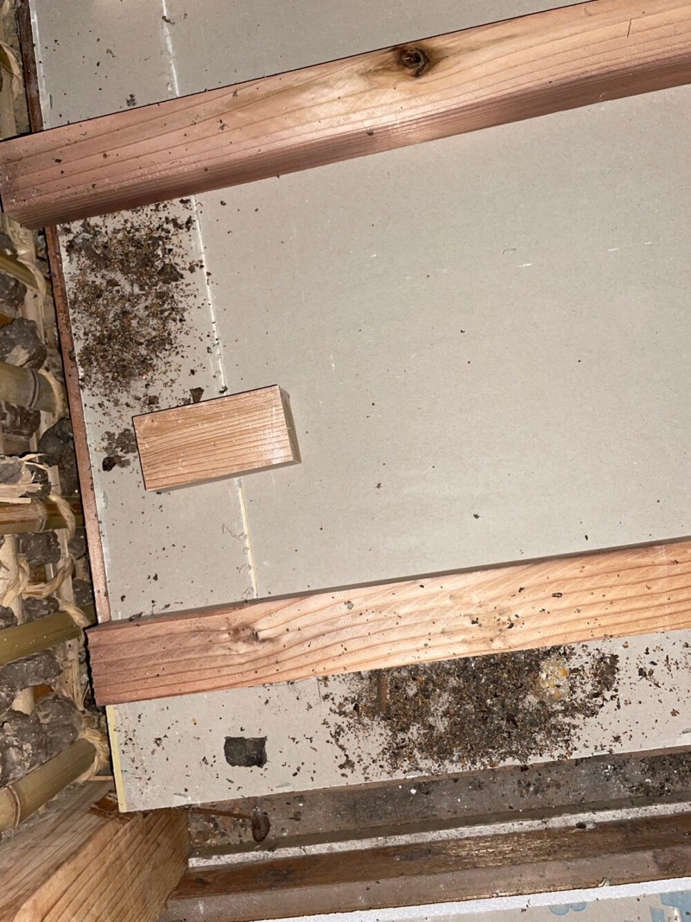 佐賀県武雄市　アライグマによる被害　M様邸　駆除実績