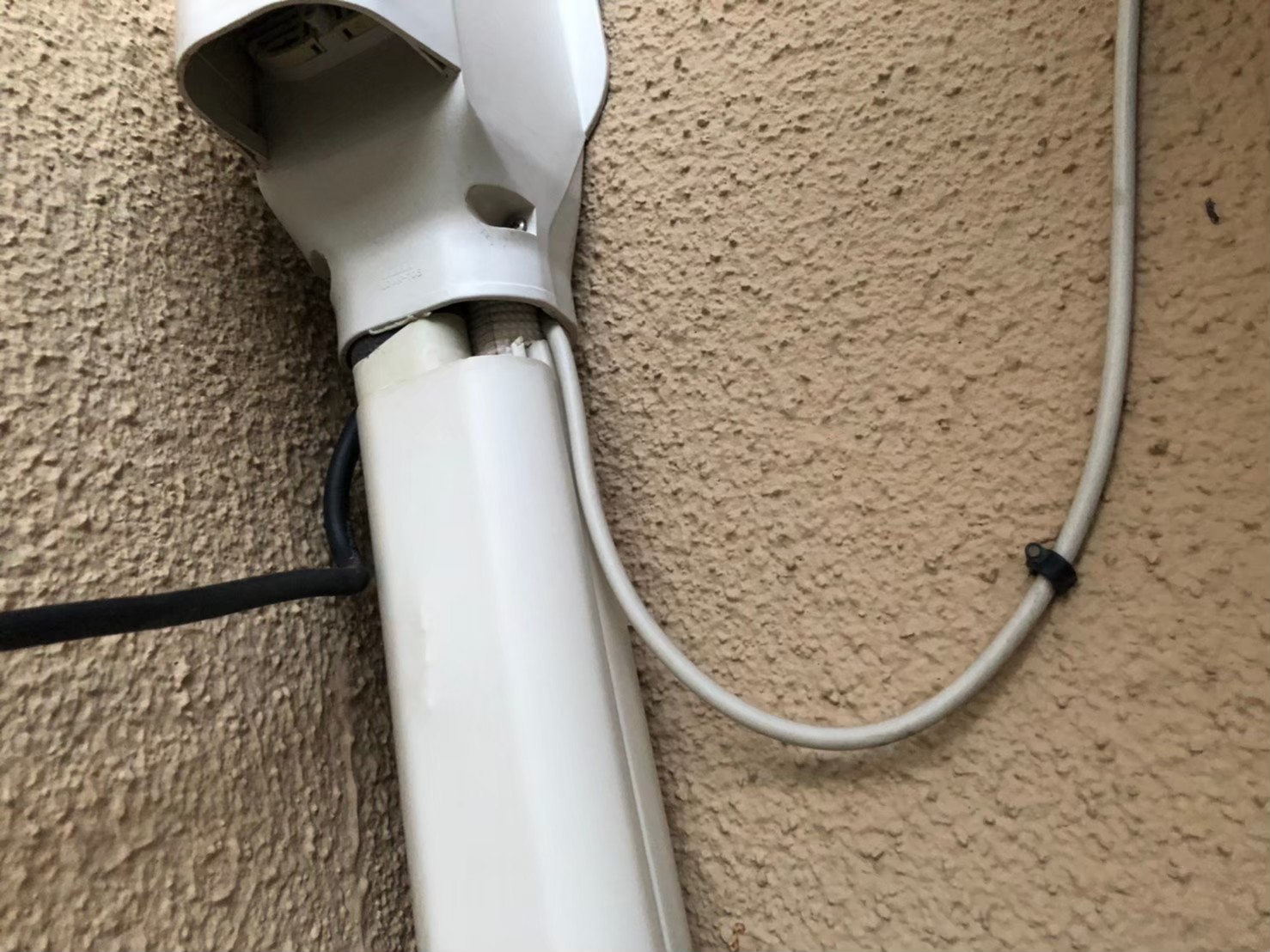 コウモリによる被害　H様邸　駆除実績