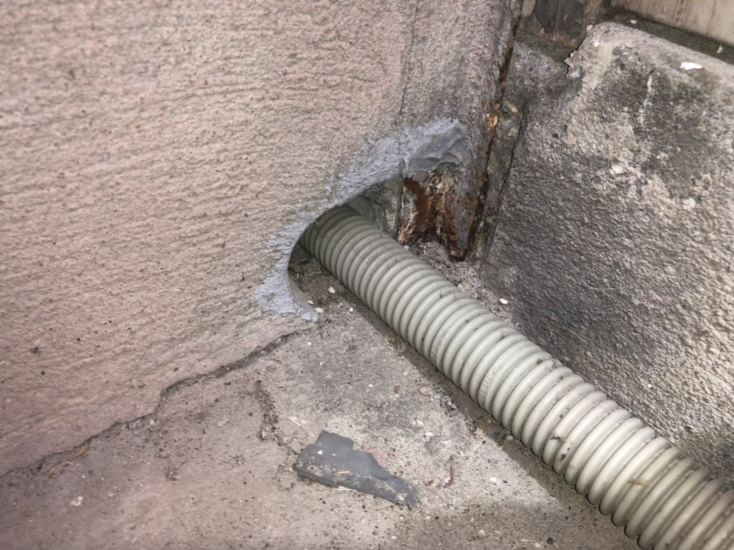 佐賀県佐賀市　ネズミによる被害　A様邸　駆除実績