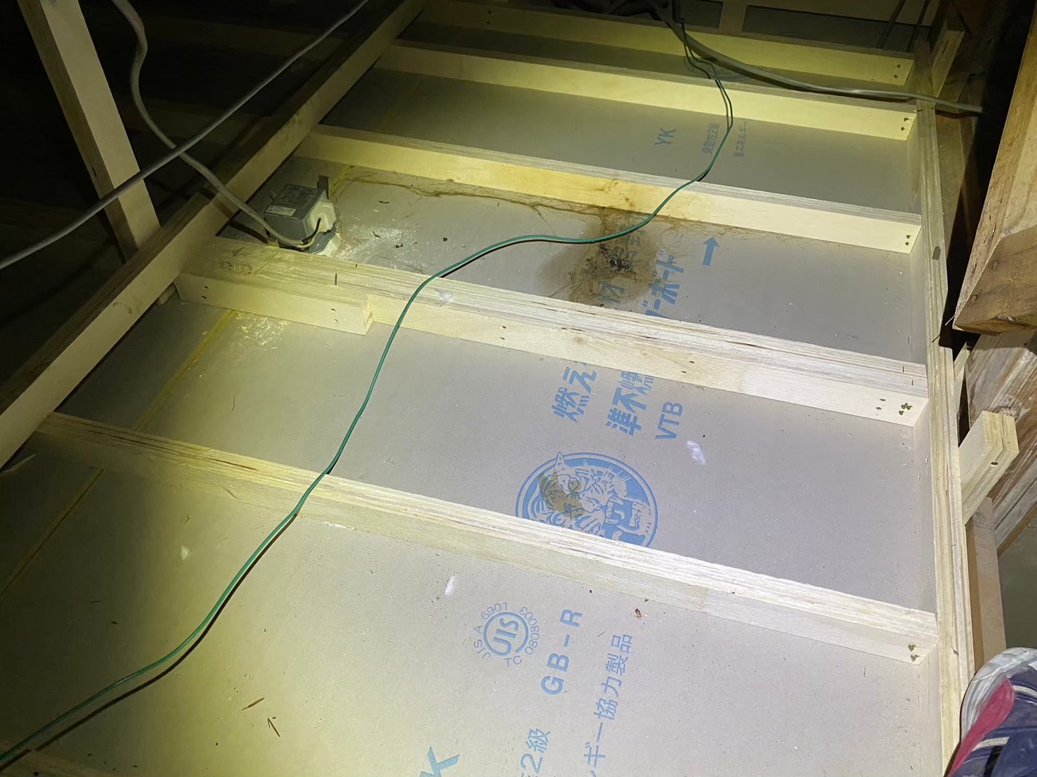 佐賀県武雄市　アライグマによる被害　H様邸　駆除実績