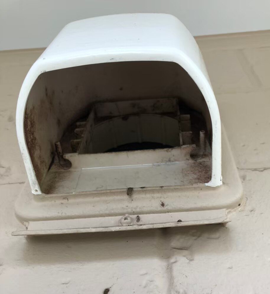 コウモリによる被害　N様邸　駆除実績