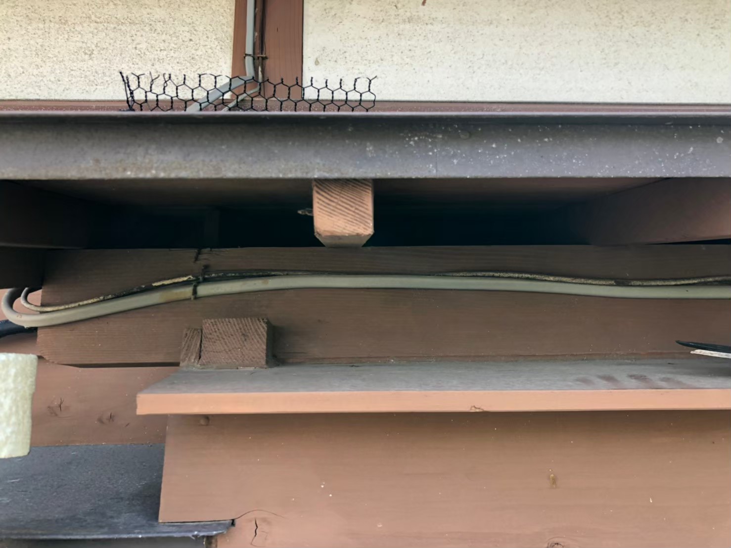 佐賀県鳥栖市　イタチによる被害　T様邸　駆除実績