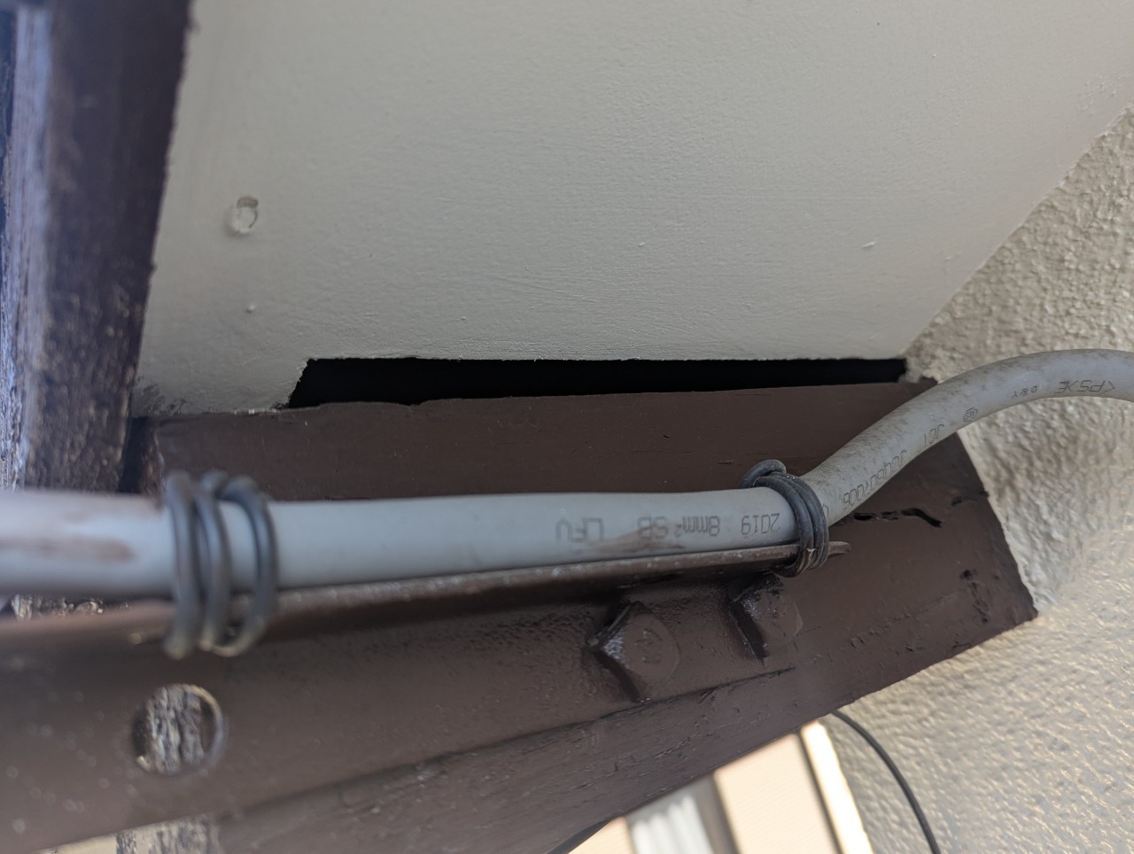 佐賀県佐賀市　イタチによる被害　T様邸　駆除実績