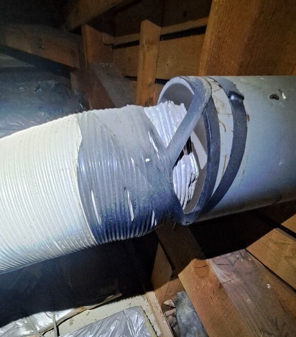 佐賀県神崎市　アライグマによる被害　K様邸　駆除実績