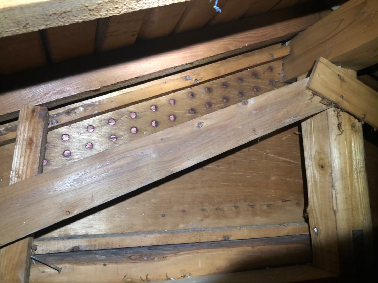 福岡県久留米市　ネズミによる被害　S様邸　駆除実績