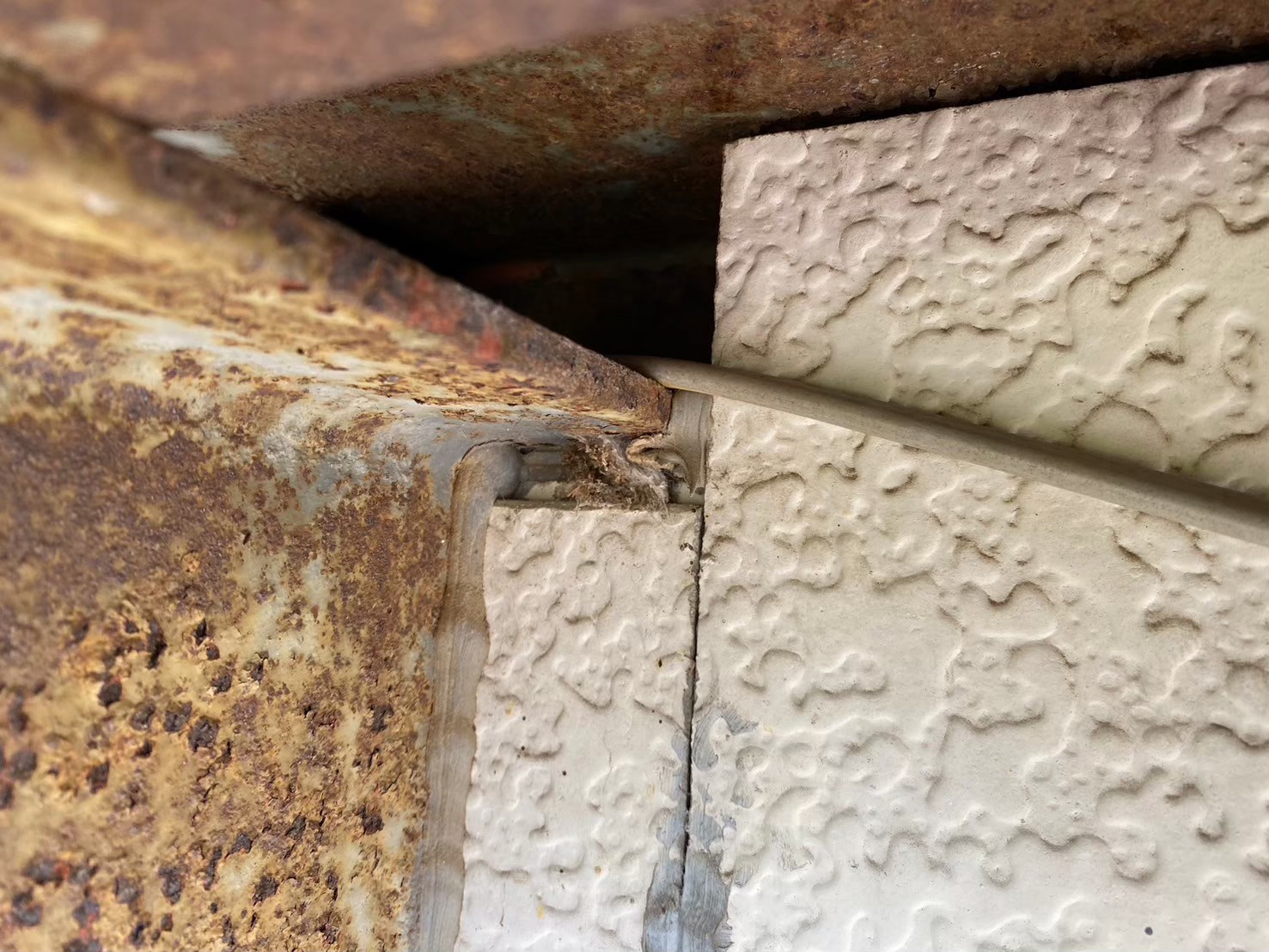 佐賀県佐賀市　ネズミによる被害　K様邸　駆除実績