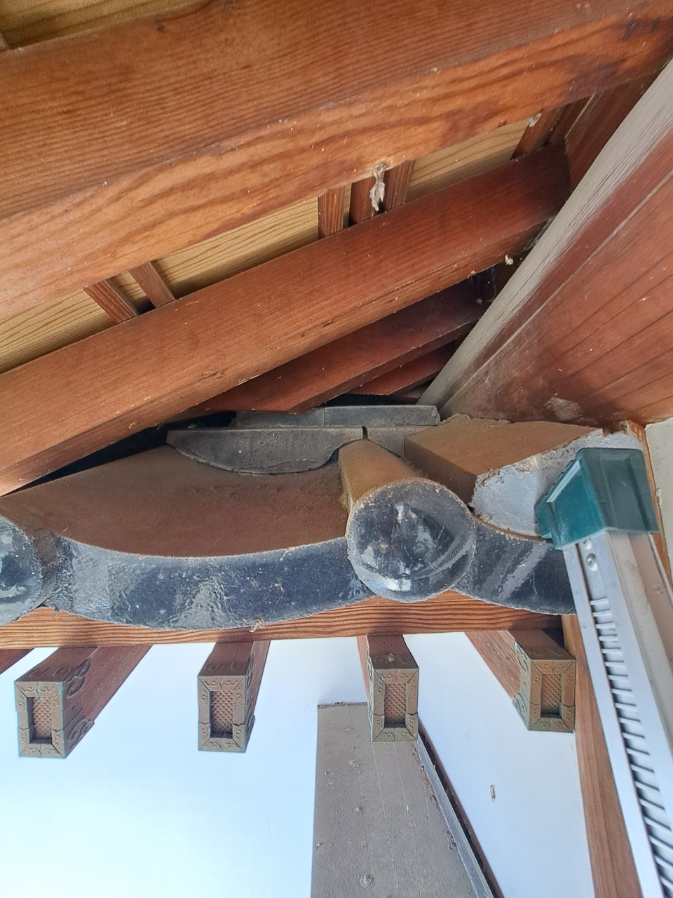 福岡県朝倉市　アライグマによる被害　T様邸　駆除実績