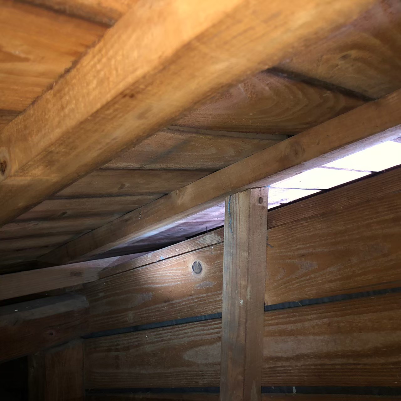 福岡県八女市　イタチによる被害　O様邸　駆除実績