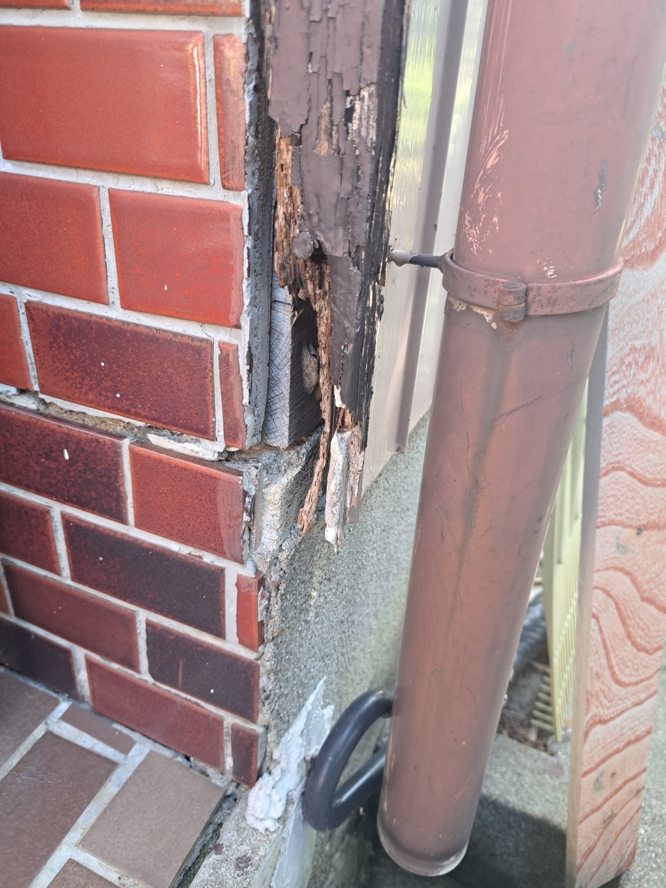 佐賀県佐賀市　ネズミによる被害　S様邸　駆除実績