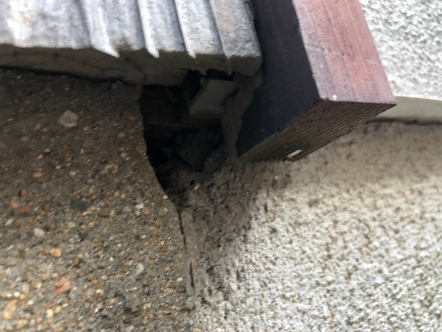 佐賀県鳥栖市　イタチによる被害　K様邸　駆除実績