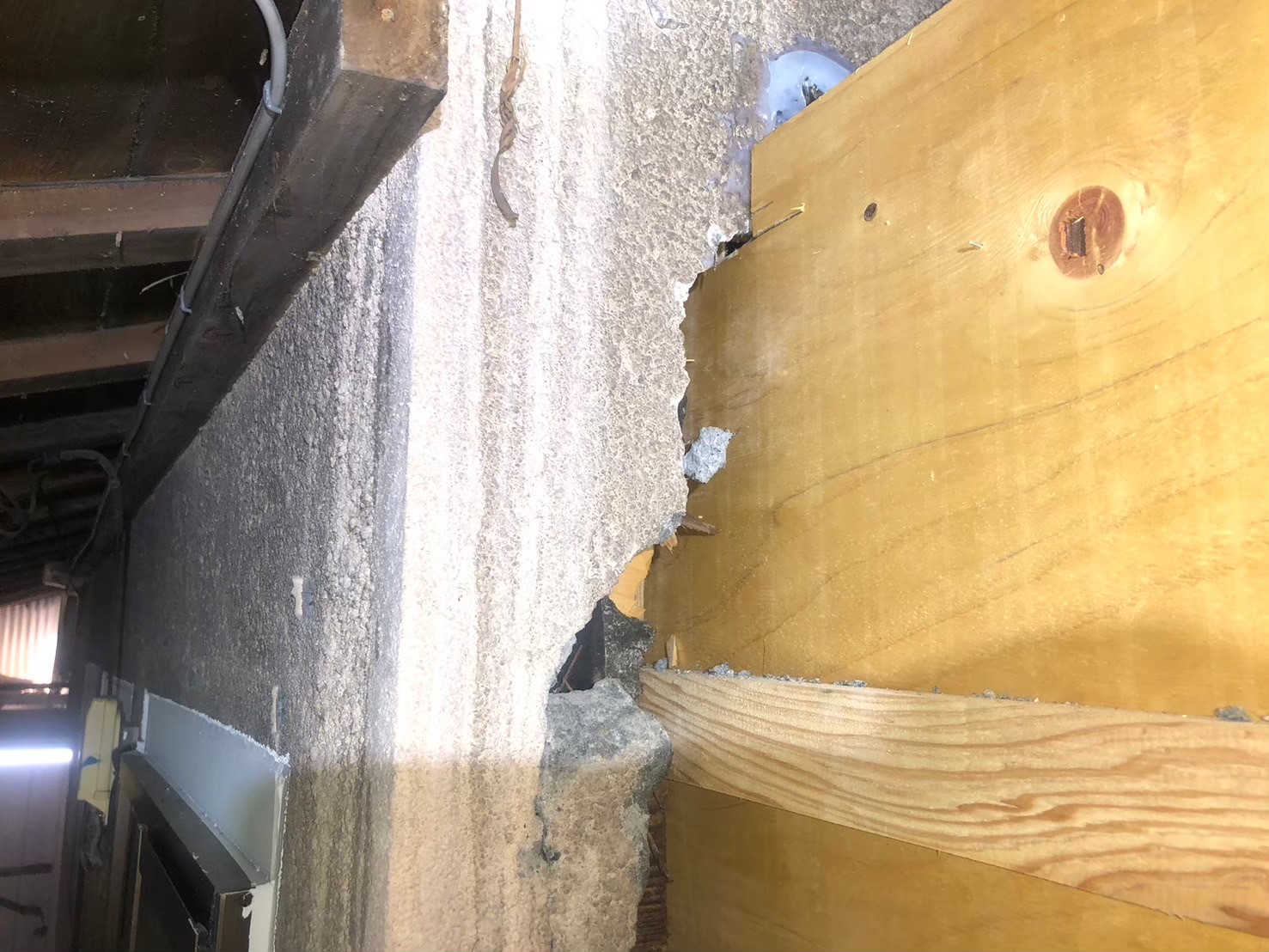 福岡県筑後市　アライグマによる被害　H様邸　駆除実績