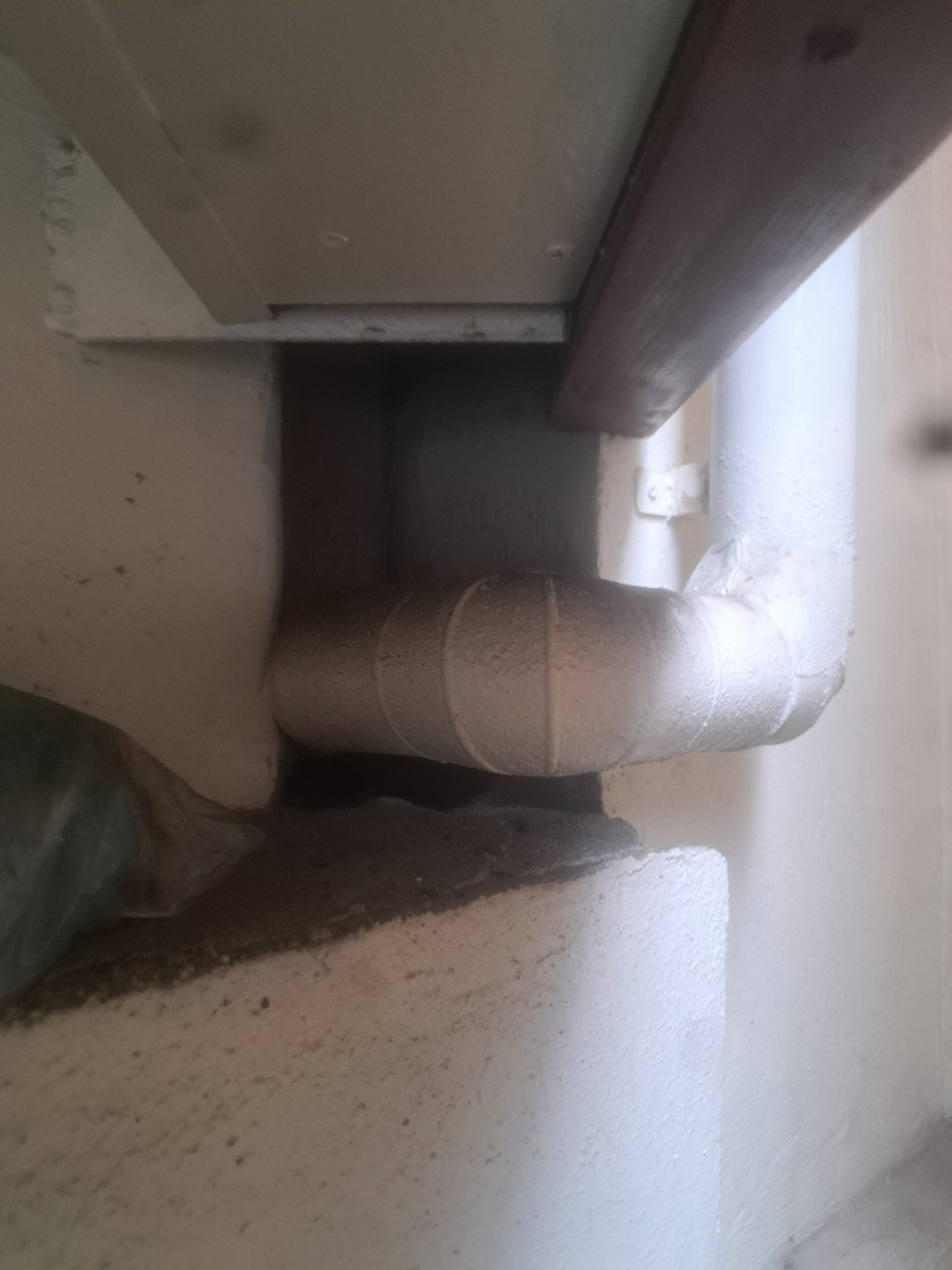 佐賀県佐賀市　アライグマによる被害　T様邸　駆除実績